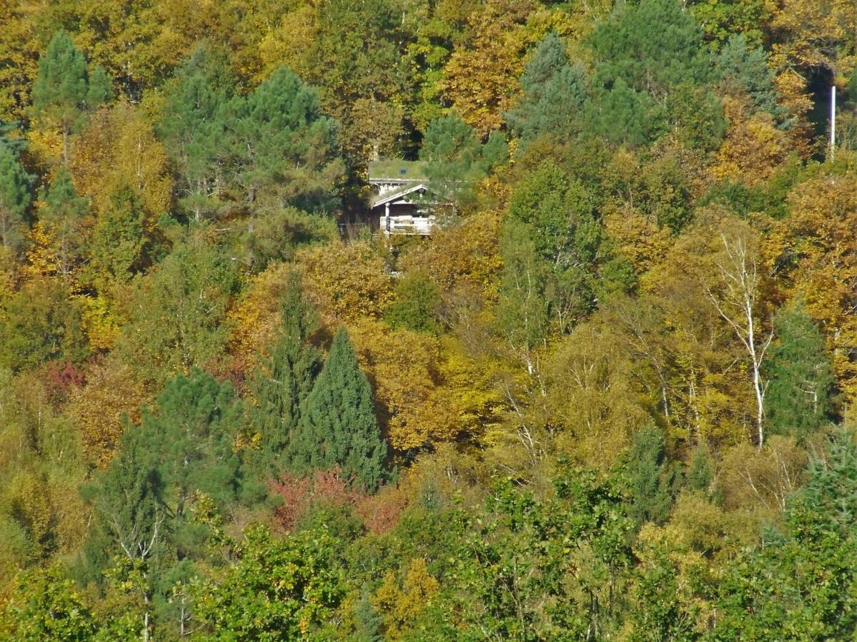 La Cabane De Hans Saint-Martial-de-Gimel Esterno foto